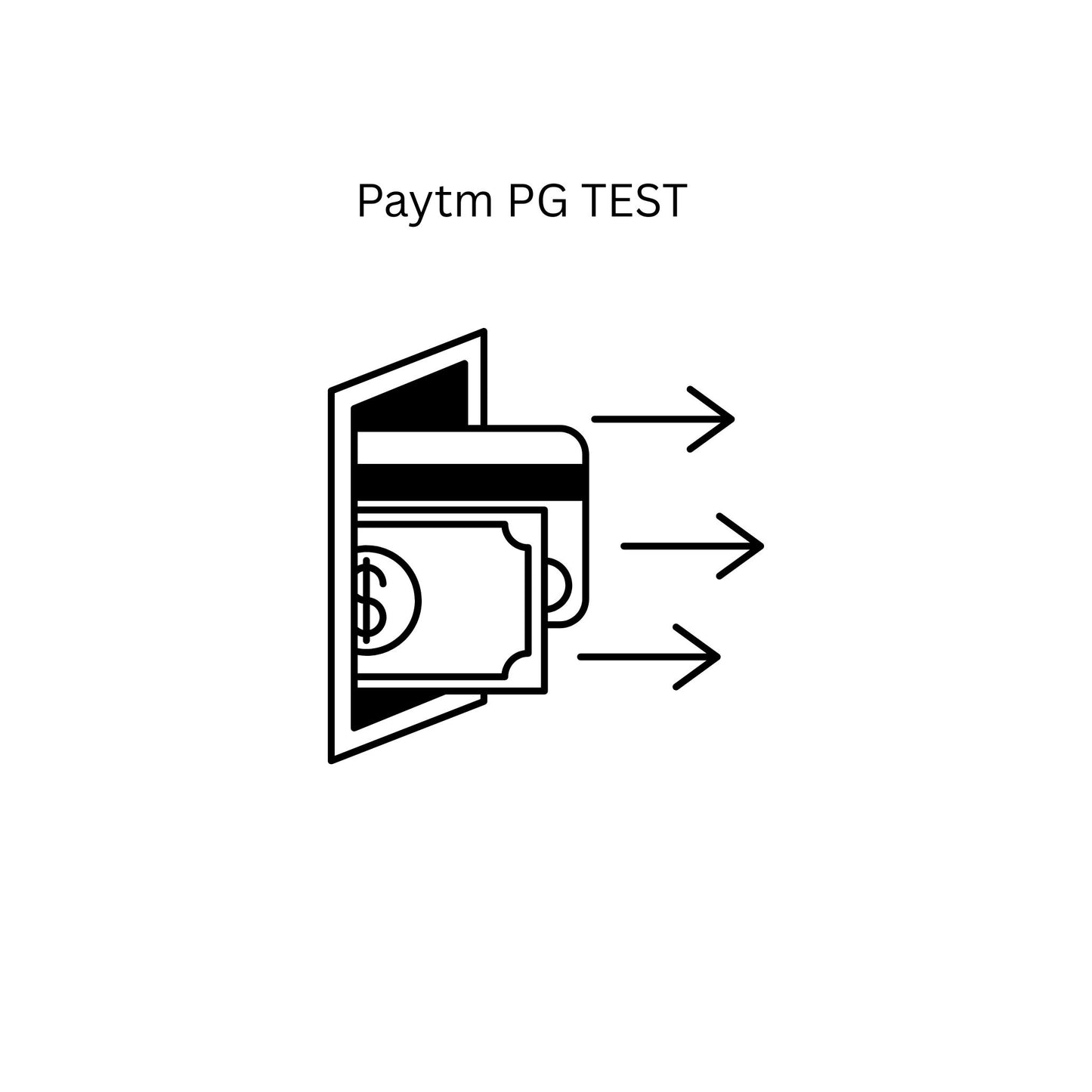Paytm PG Test